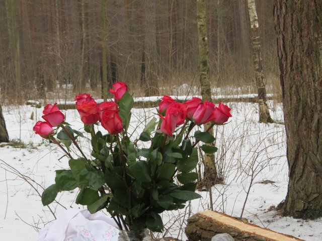 8m14_1