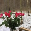 8 марта 2014 г.